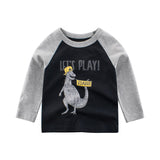 Children's Wear Wholesale Autumn Children's Clothing Boy's Long Sleeve T-Shirt Cotton Kids' Clothes