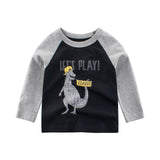 Children's Wear Wholesale Autumn Children's Clothing Boy's Long Sleeve T-Shirt Cotton Kids' Clothes